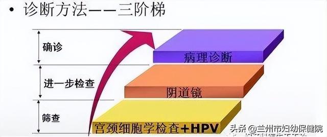 hpv的基本常識（科普知識關于HPV你知道多少）2