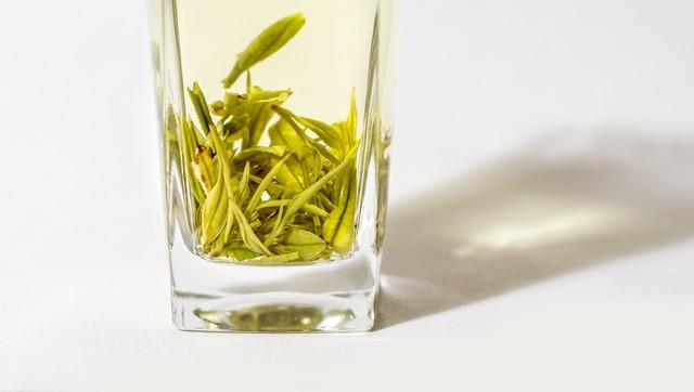 江南五選白茶是什麼茶種（江蘇綠楊春茶與浙江安吉白茶對沖評測）2