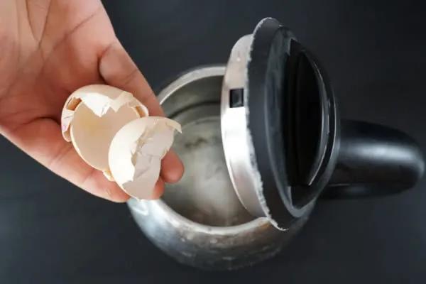 雞蛋殼的妙用技巧（原來它還有意想不到的用處）2