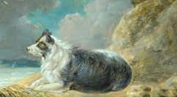 古代最早的寵物狗（古羅馬的狗有多幸福）(38)
