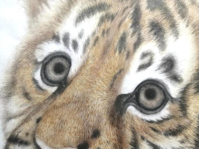 老虎的畫法素描霸氣（老虎的畫法）17