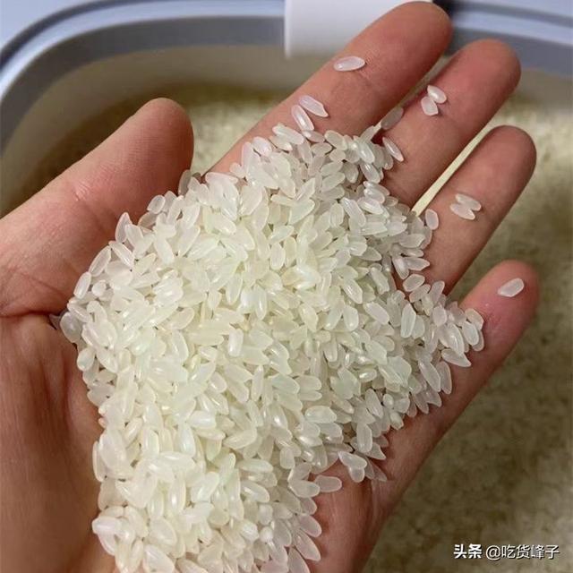 米飯怎麼煮才能又香又亮（最忌直接下鍋煮）3