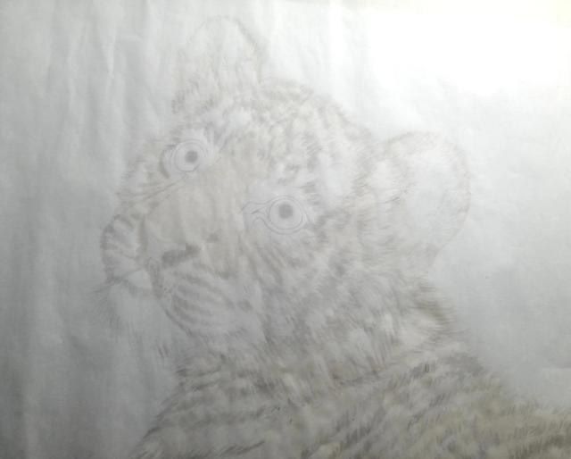 老虎的畫法素描霸氣（老虎的畫法）3