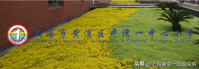 上海重點區小學排名（上海學區辦學覆蓋85）4