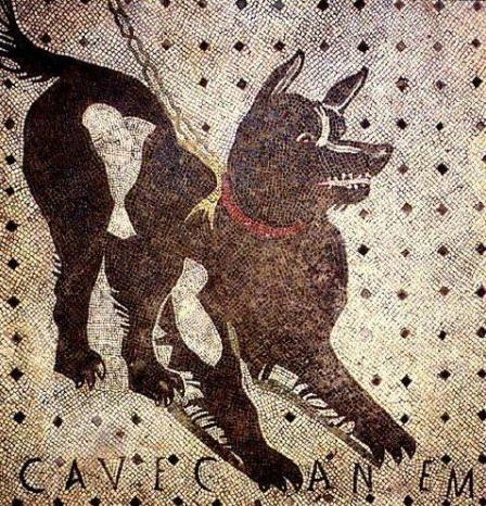 古代最早的寵物狗（古羅馬的狗有多幸福）(3)