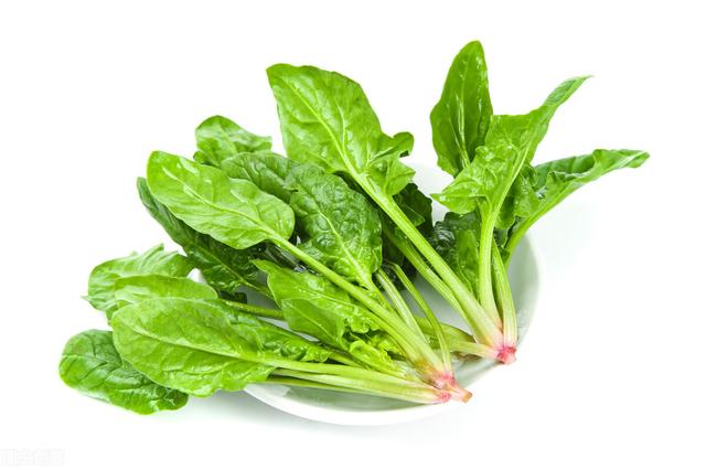 補鈣的深綠色蔬菜有哪些（12種野菜和6種蔬菜含鈣量高）8