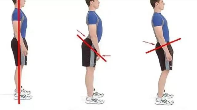 腰疼怎麼練3個動作有效緩解腰痛（如何訓練自己腰背部的核心肌力）2