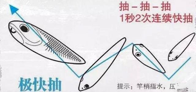 海裡長相最大的魚（一種吃魚的魚體長可長到1米多）4
