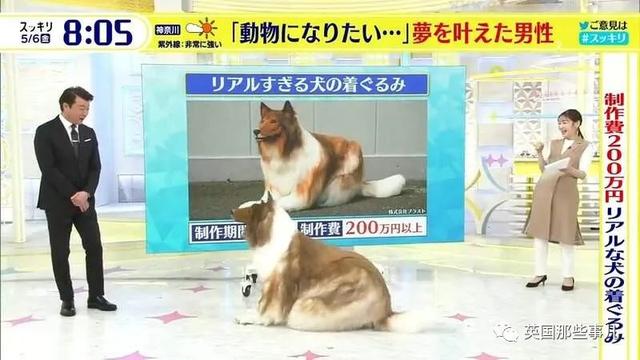 日本男子花200萬變狗監控（日本大叔花200萬當）12