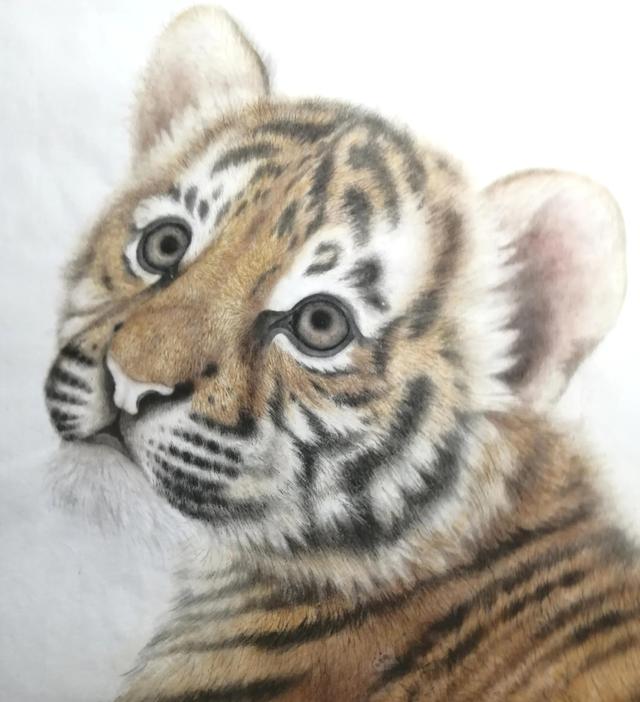 老虎的畫法素描霸氣（老虎的畫法）16