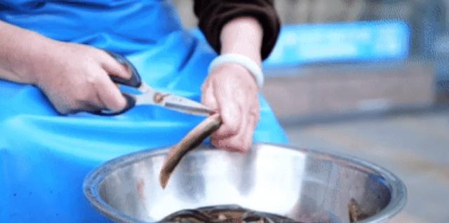 怎樣做野生泥鳅最好吃（特色川）4