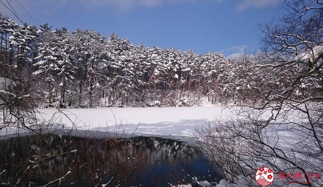 日本旅遊遇到惡劣天氣（日本冬季雪地自駕）18