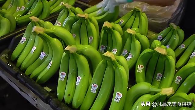 香蕉怎麼種植才能結果（香蕉是如何種出來的）19