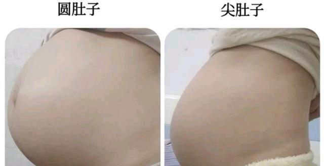 孕婦肚型為什麼不同（為啥肚形會不同）1