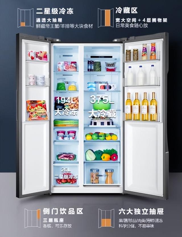 專門冷藏的冰箱有哪些（未雨綢缪成為常态）7
