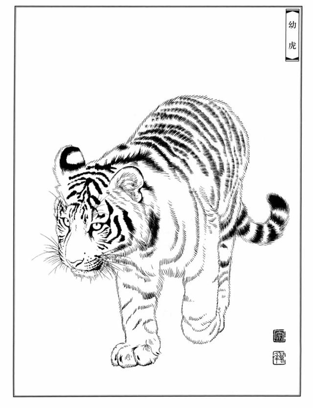 老虎卡通畫2022虎年（28張老虎黑白線描圖）24