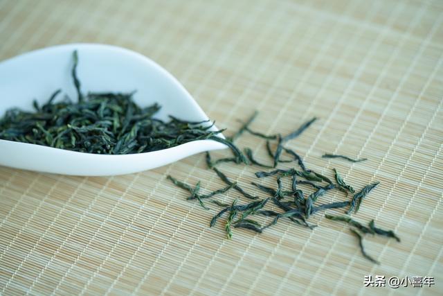 春茶是不是最好的綠茶（今年春茶已經開采）5