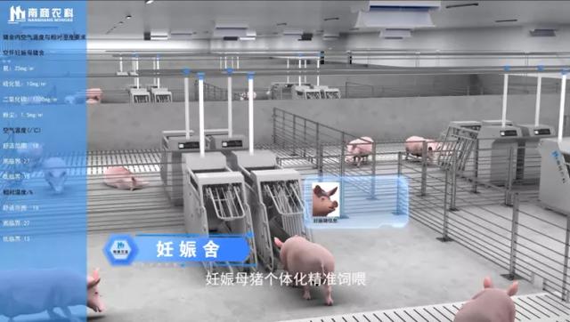 建設豬場需要什麼樣的設備（如何建設一座現代化豬場）4