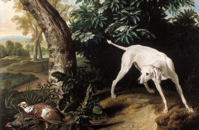 古代最早的寵物狗（古羅馬的狗有多幸福）(13)