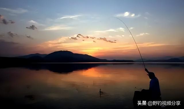 夜釣野魚幾點好釣（夜釣上魚才最快）1