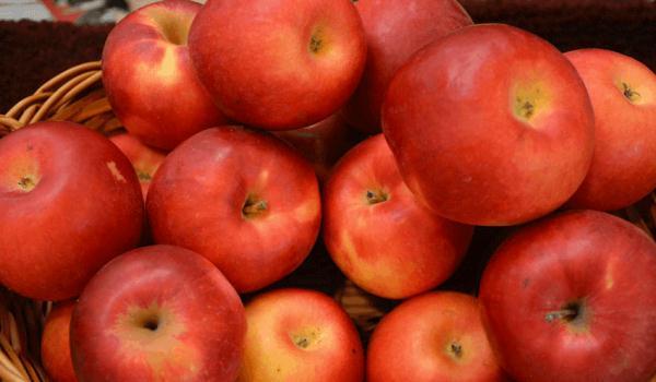 吃蘋果有助于降血糖嗎（蘋果何時吃更健康）1