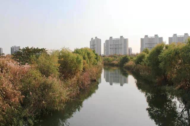 上海城市更新單元規劃（上海這個地方的）3
