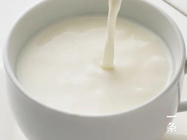 低脂低蛋白無糖高鈣奶（源自天山牧場的原生高鈣奶）5
