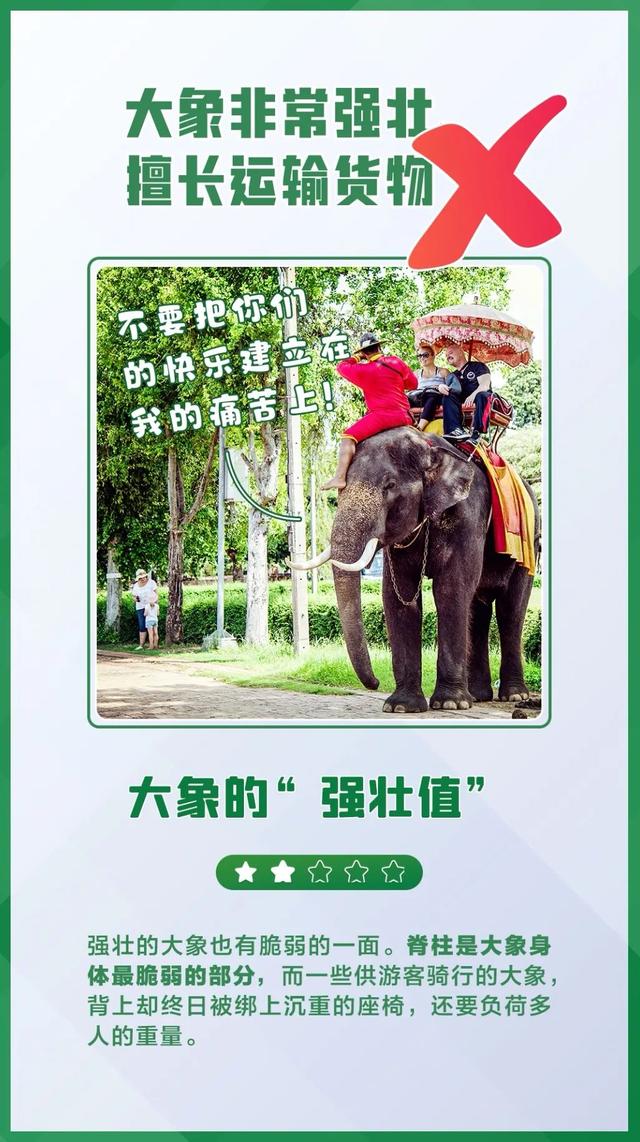 大象相關的科普介紹（今日科普世界大象日）15