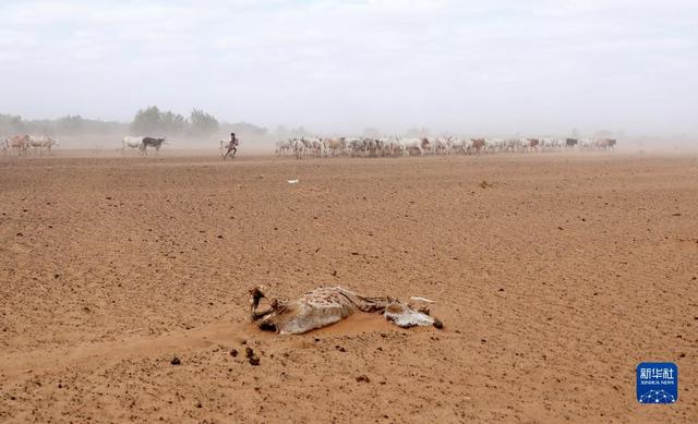 非洲最幹旱的部位（嚴重幹旱影響非洲之角）9