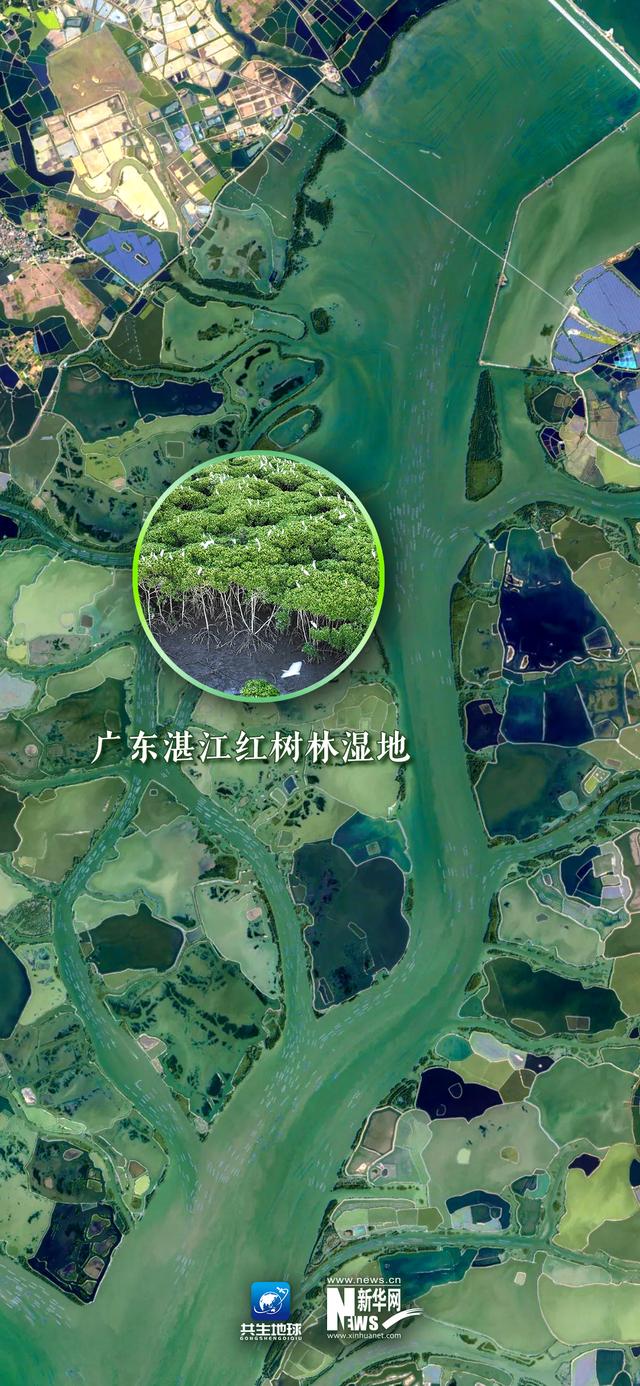 綠水青山俯瞰圖（衛星瞰濕地）8