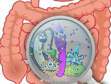 腸道的細菌是怎麼進去的（腸道細菌裡的好細菌）1