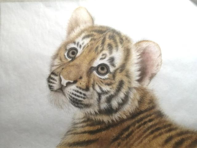 老虎的畫法素描霸氣（老虎的畫法）18