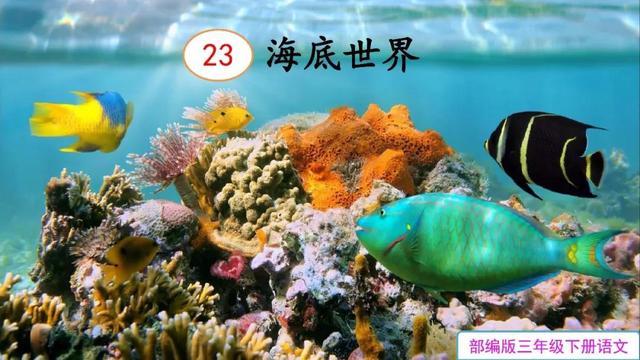 三年級下冊的23課海底世界（部編版三年級下冊第23課海底世界知識點）1